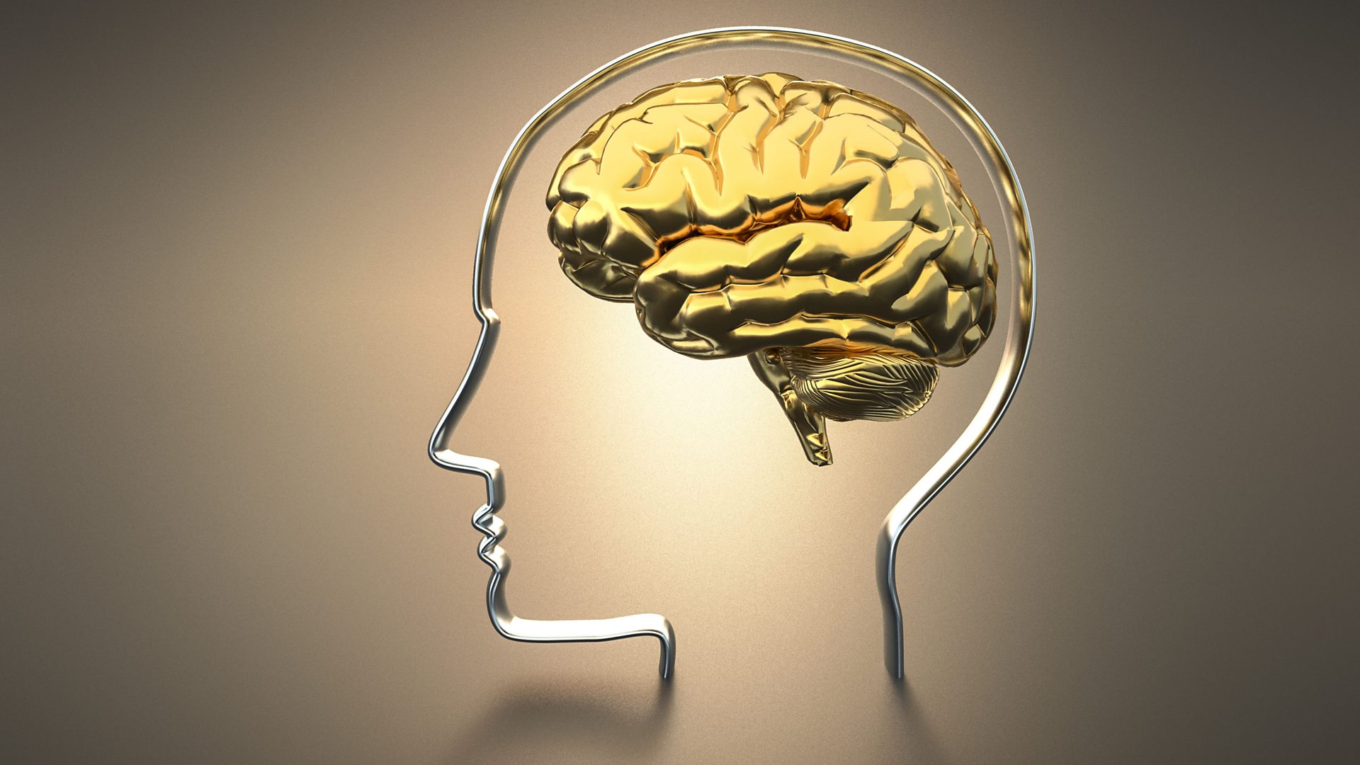 Brain