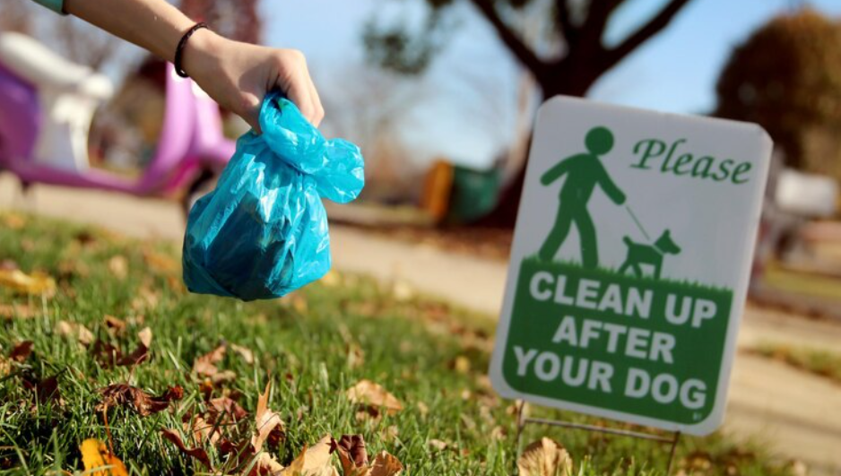 How Dog Waste Removal Services Help Busy Pet Owners Maintain a Hygienic Outdoor Space